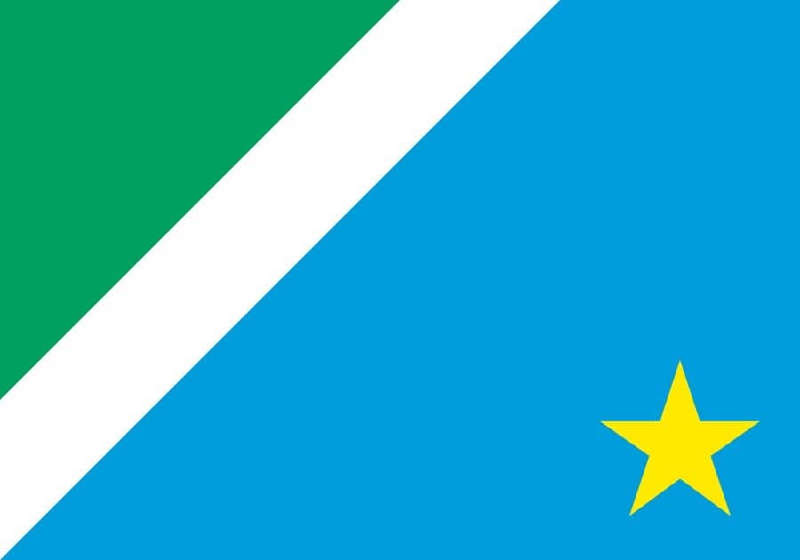 Brazil Presidential Election First Round: 1st Place in Mato Grosso do Sul