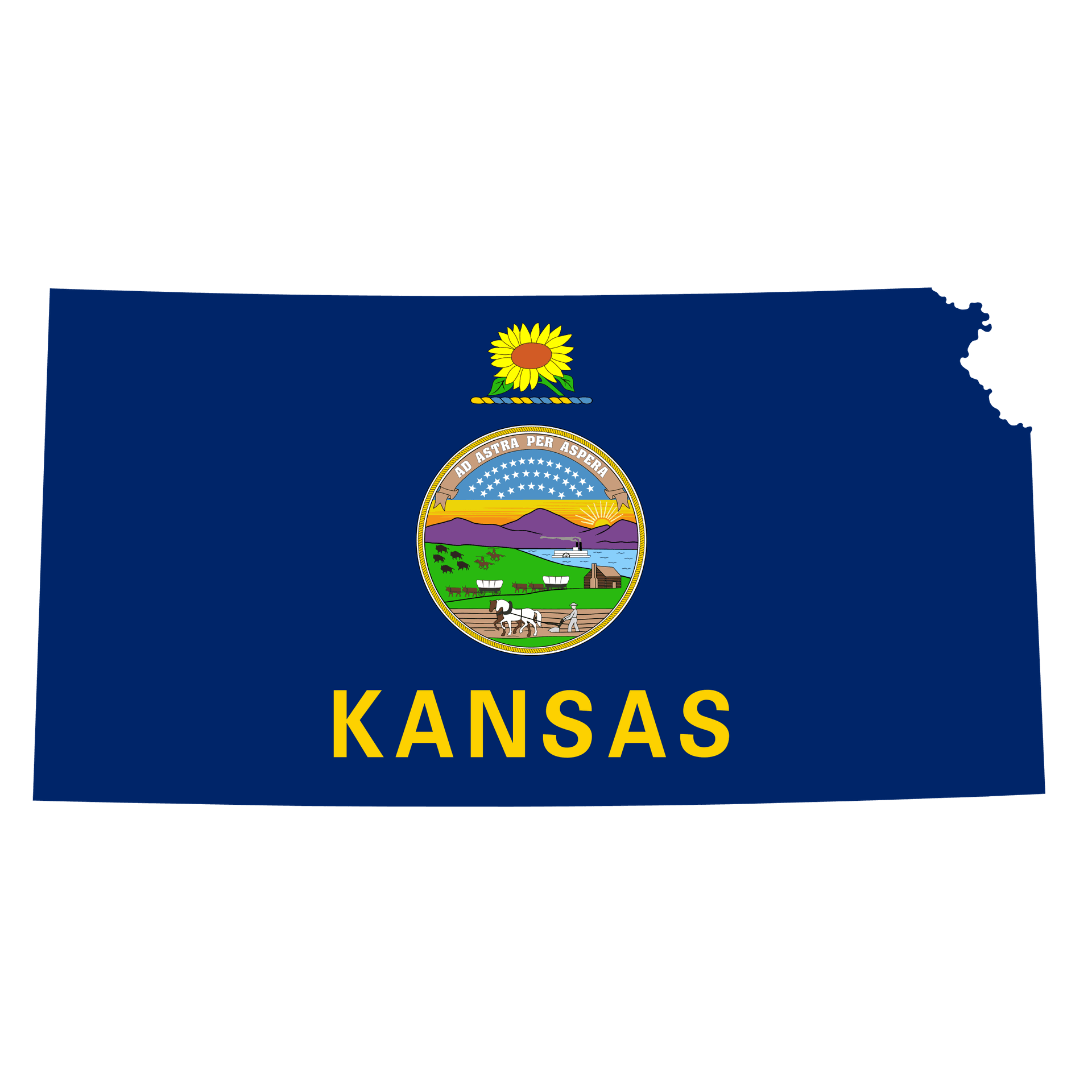 Kansas Senate Election: Sedgwick County Winner