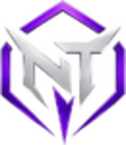 Nice Try logo