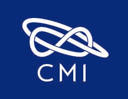 AI lab announces another Millennium Prize solution by...?
