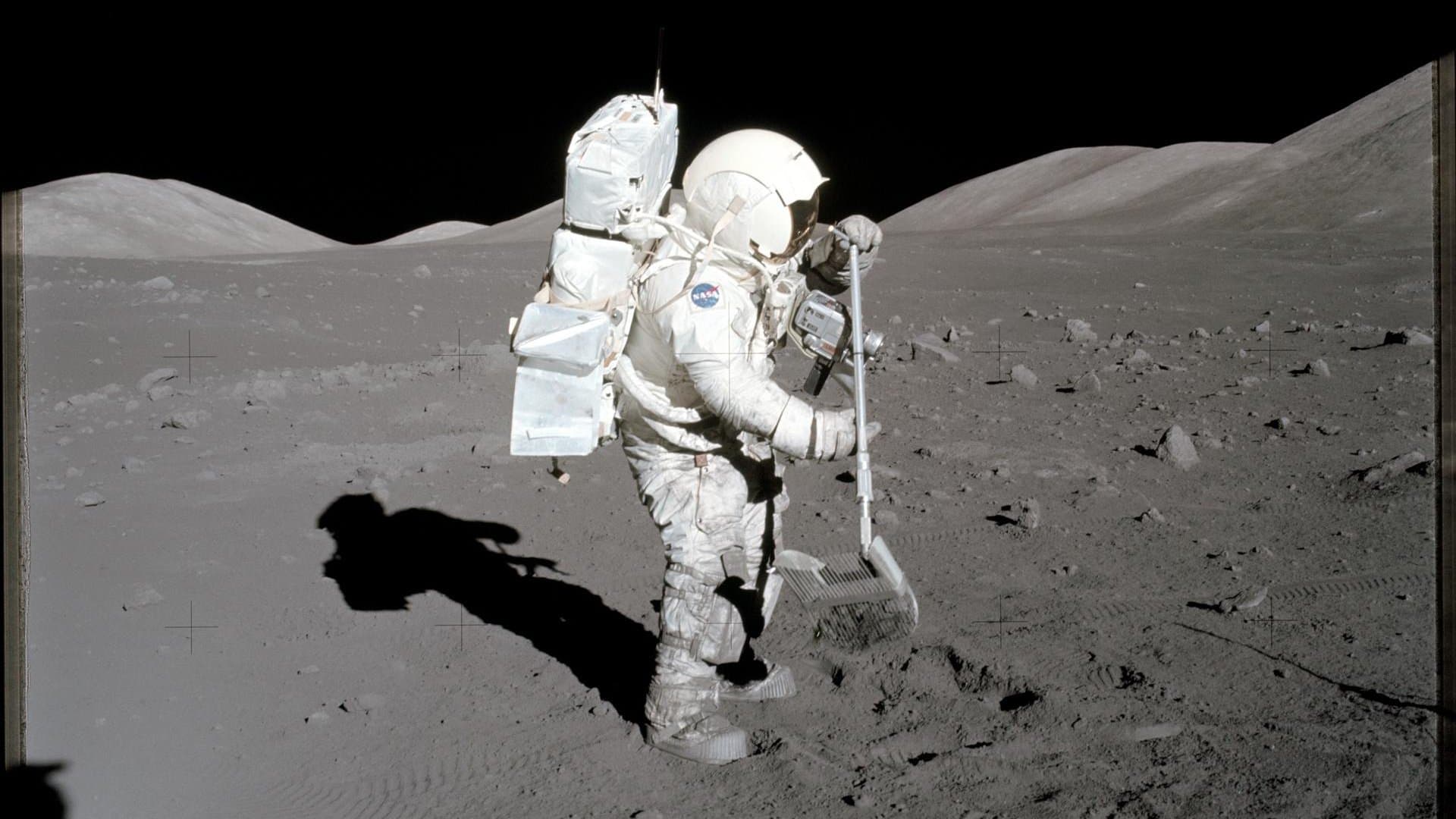 Will the Doge-1 Lunar Mission launch by...?